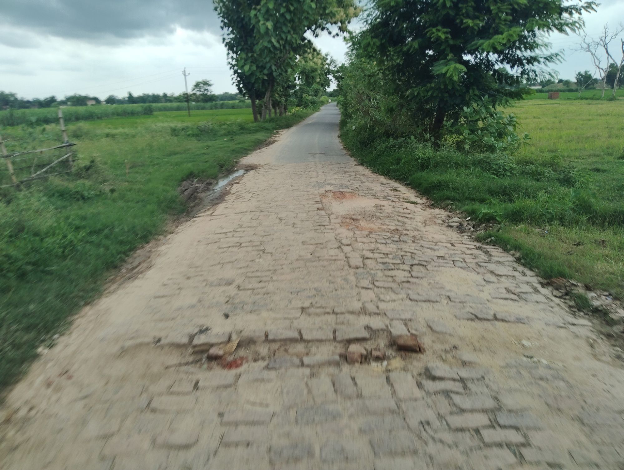 कुबेरस्थान–बतरौली–गंगउली–शिवपुर मार्ग गड्ढों में तब्दील, हादसों का खतरा बढ़ा