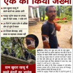 खुदुरा गांव में काले बंदरों का बढ़ता आतंक, 20 दिनों में आधा दर्जन से अधिक लोग हो चुके हैं घायल।