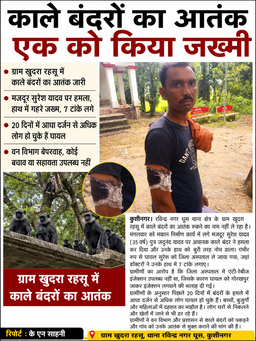 खुदुरा गांव में काले बंदरों का बढ़ता आतंक, 20 दिनों में आधा दर्जन से अधिक लोग हो चुके हैं घायल।