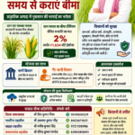 प्रधानमंत्री फसल बीमा योजना किसानों के लिए सुरक्षा कवच, समय से कराएं धान व मक्का का बीमा